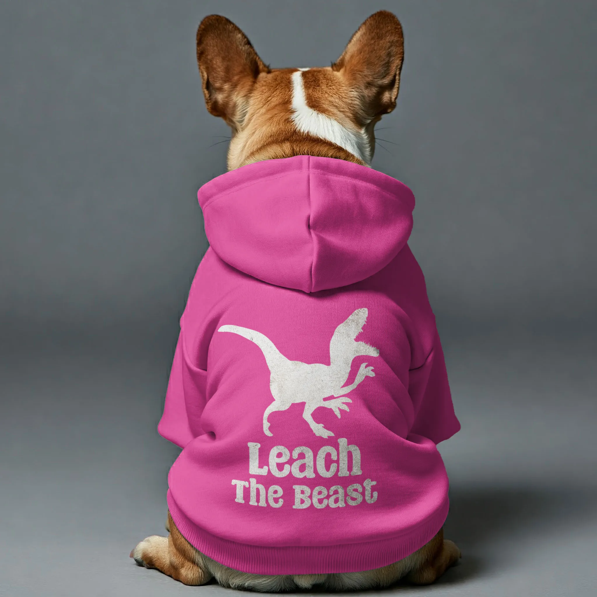 Leach The Beast - Personalized French Bulldog Hoodies with Funny Quotes – Stylish, Cozy, and Premium 100% Cotton