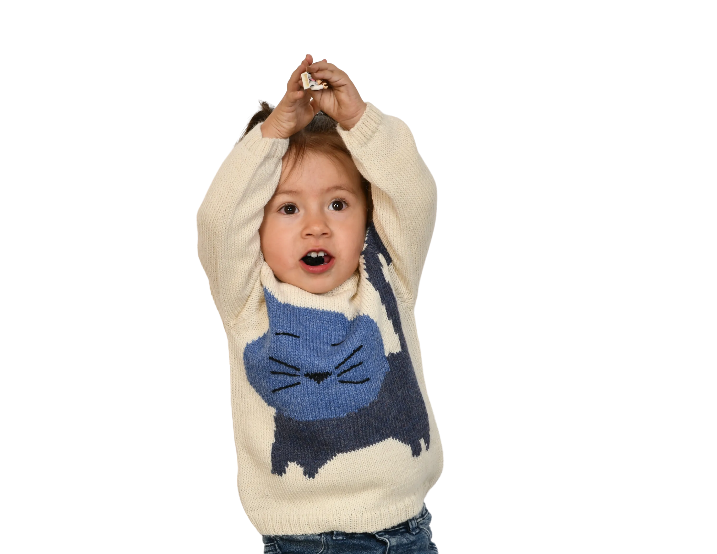 NW630 INDIGO CLASSIC KITTEN SWEATER